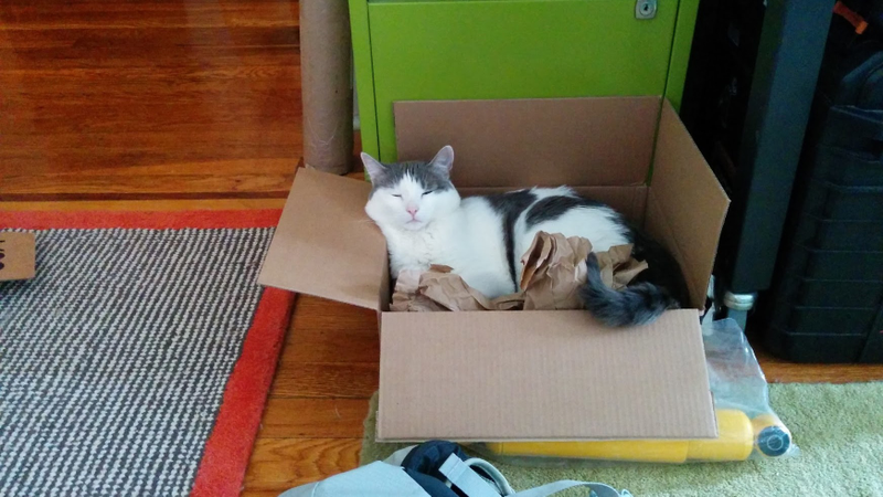 Box, with packing paper. Verdict: 7/10